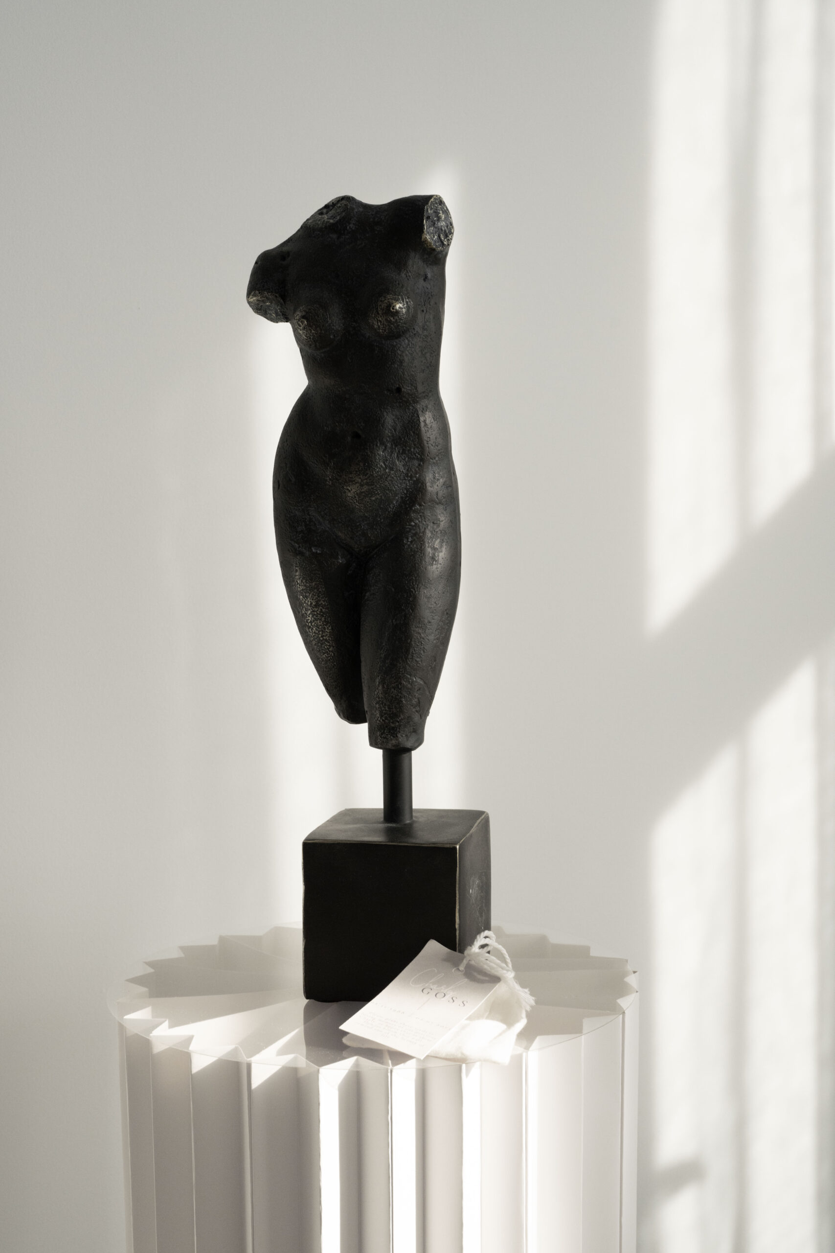 Modern branding photos for entrepreneurs by Oakville photographer